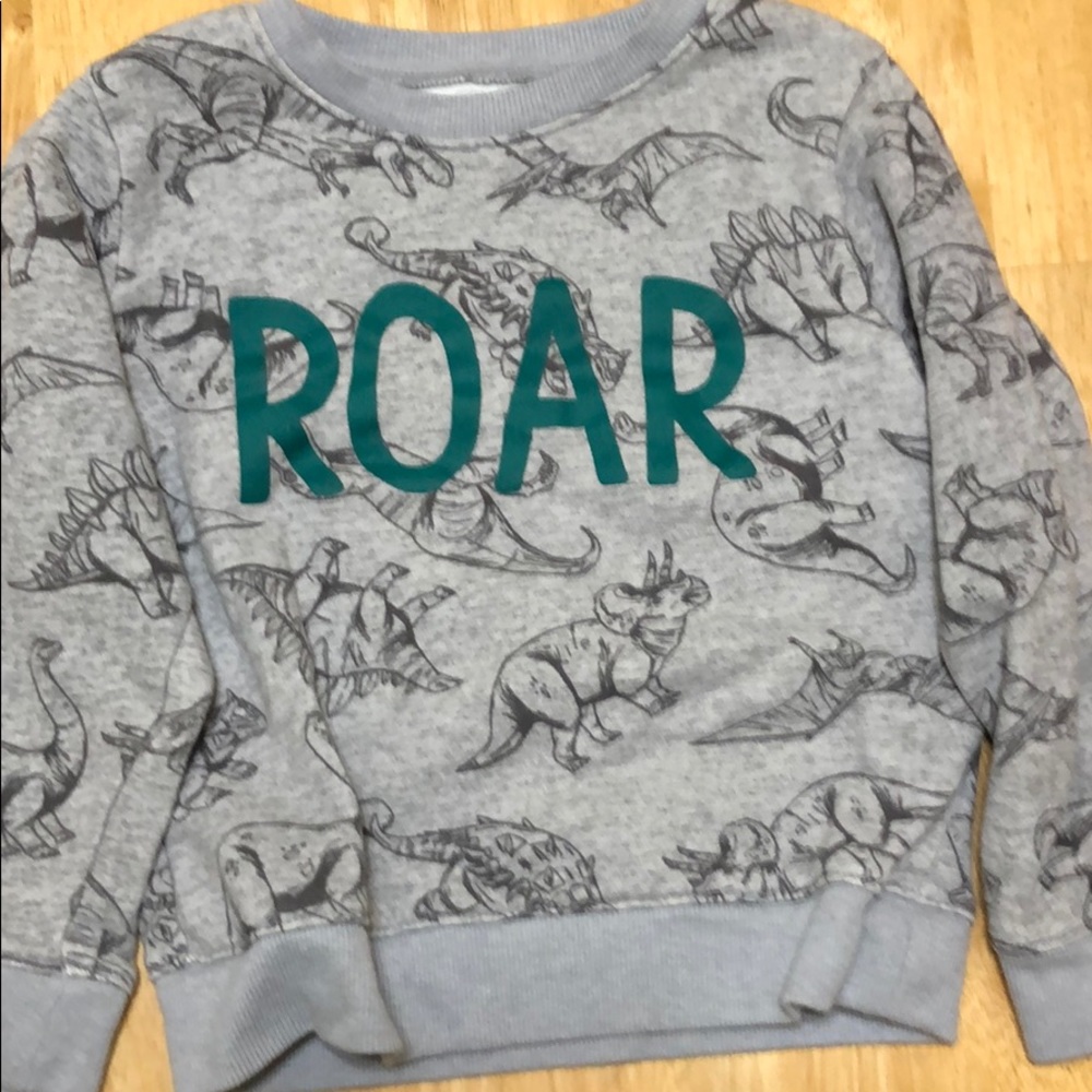Little boys dinosaur sweatshirt